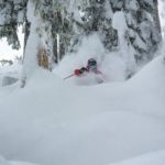 Whistler Blackcomb Powder Tree Skiing Photo Credit Vail Resorts