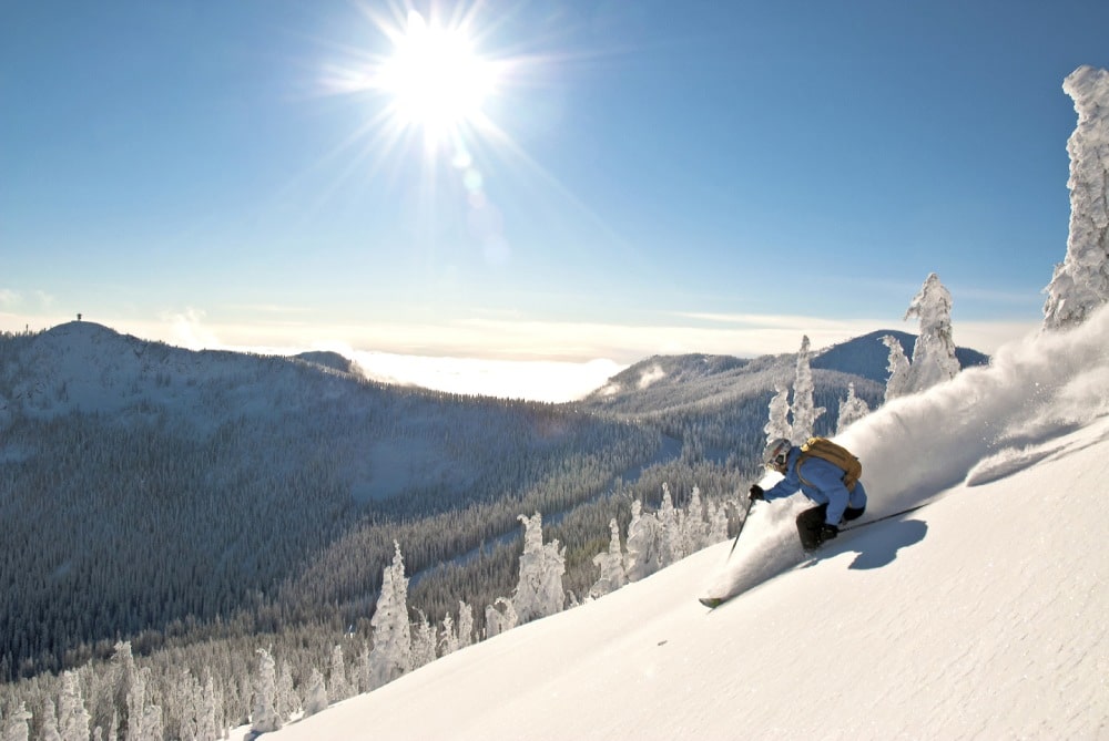 Powder skiing above the tress with blue bird day