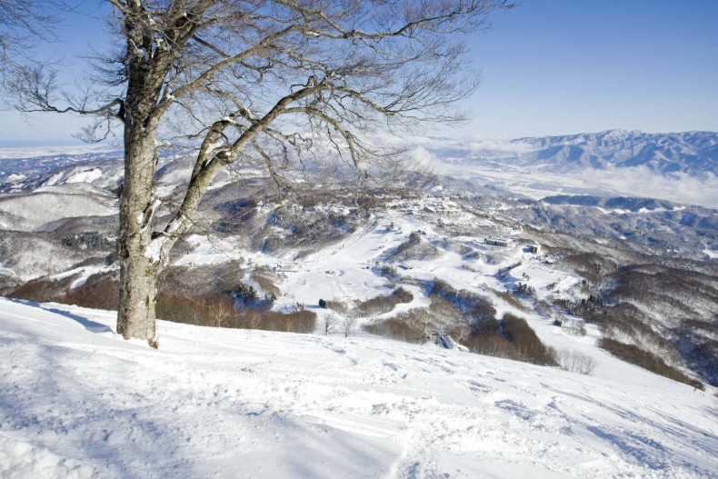 Madarao Ski Resort Japan SkiBookings.com