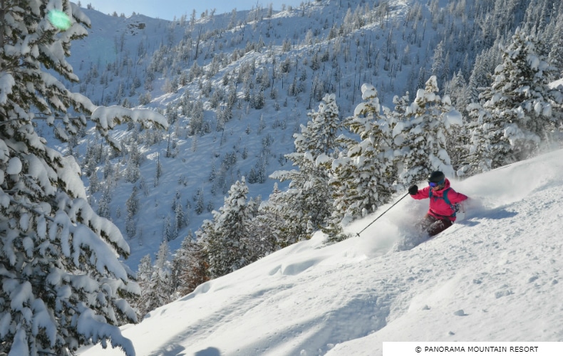 Panorama Skiing Powder SkiBookings.com