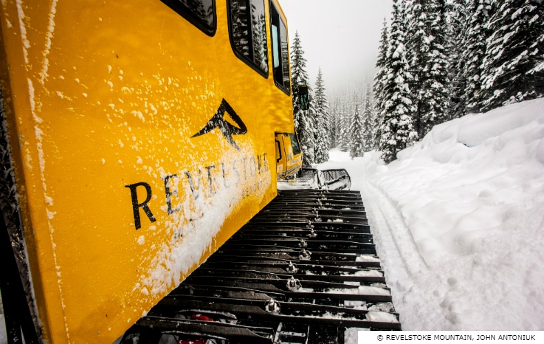 Revelstoke Mountain Cat Skiing SkiBookings.com