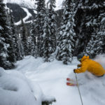 Banff Sunshine Powder Skiing SkiBookings.com