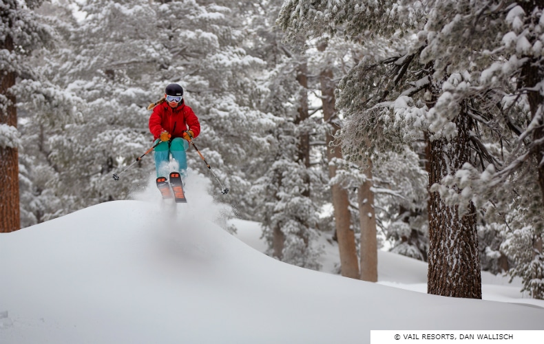 Heavenly Ski Resort Powder Day SkiBookings.com